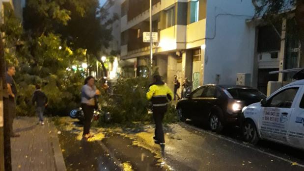 El tiempo en Cádiz: El temporal de viento y lluvia deja huella en Cádiz