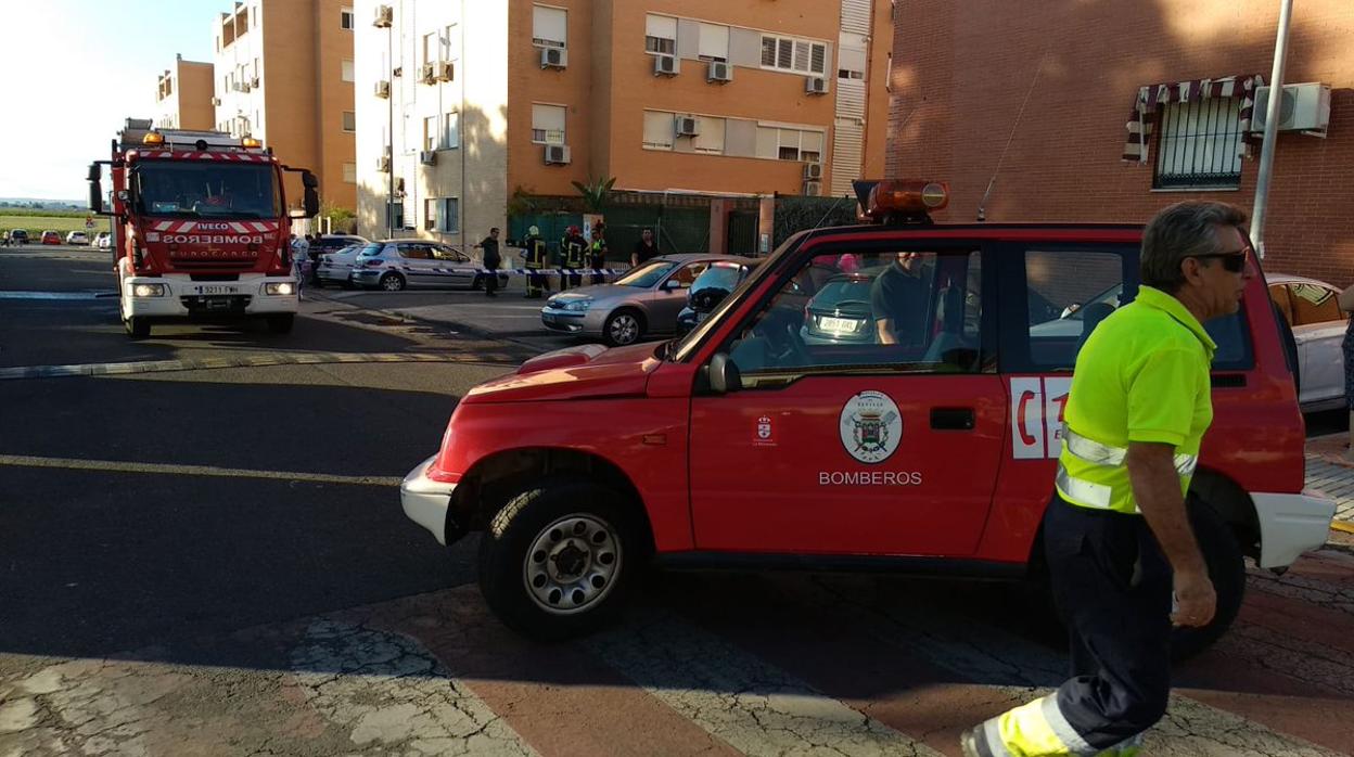 Los Bomberos de la provincia han actuado en el incendio de San José de la Rinconada