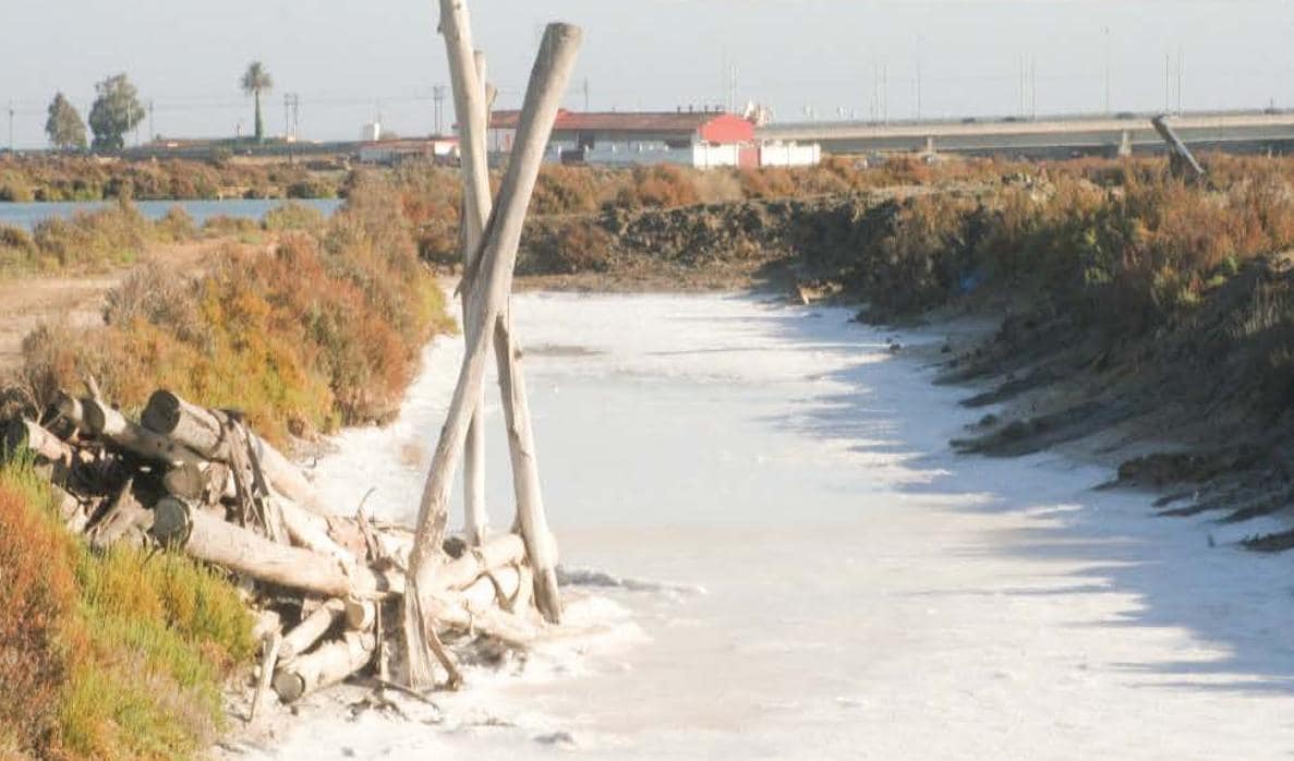 Una cata de sal en la Salina San Vicente, pondrá el punto final al proyecto Salinas y Empleo