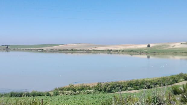 Utrera reclama a la Junta la creación de un centro de interpretación de las lagunas