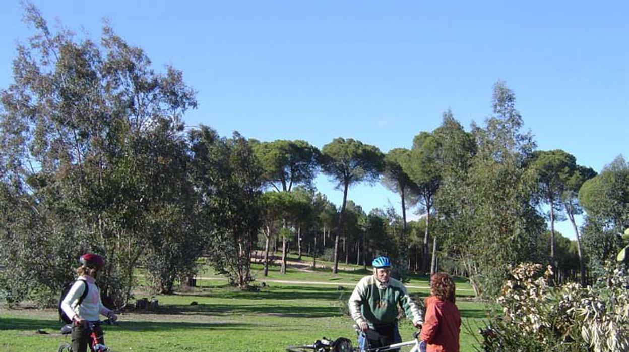 Una familia sale a pasear por el campo en bicicleta