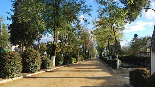 El mejor momento para conocer en profundidad los entornos naturales del casco urbano de Utrera