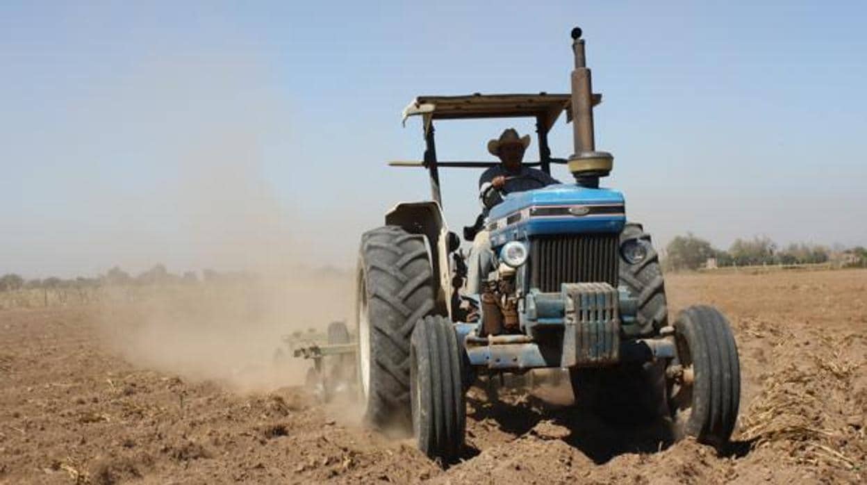 Imagen de un agricultor y un tractor en el campo