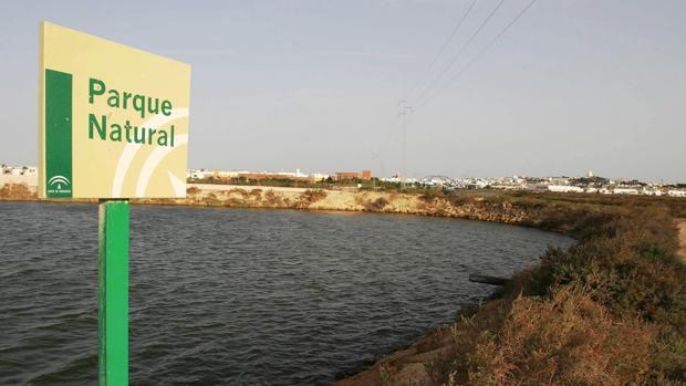 Las salinas gaditanas Preciosa y Roqueta podrían acoger actividades deportivas, turísticas y culturales