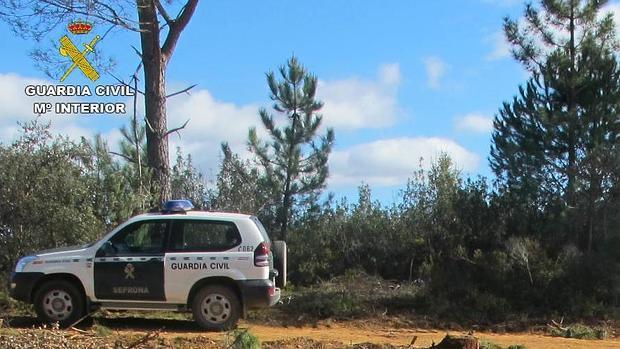 La Guardia Civil rescata a un vecino de Alcolea del Río desorientado en un monte cuando buscaba setas