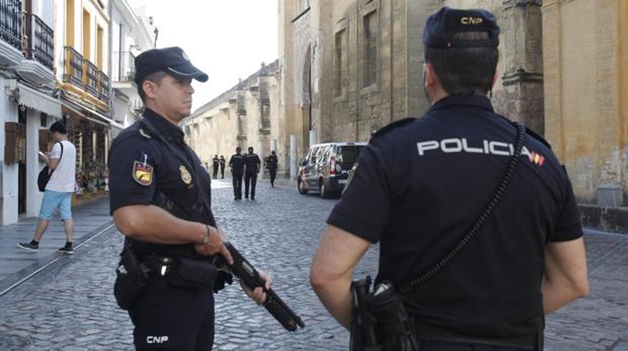 La Policía Nacional ha detenido en Alcalá de Guadaíra a un matrimonio por fabricar armas caseras