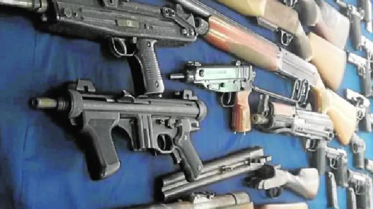 Algunas de las armas intervenidas en una finca de San Roque hace unas semanas.