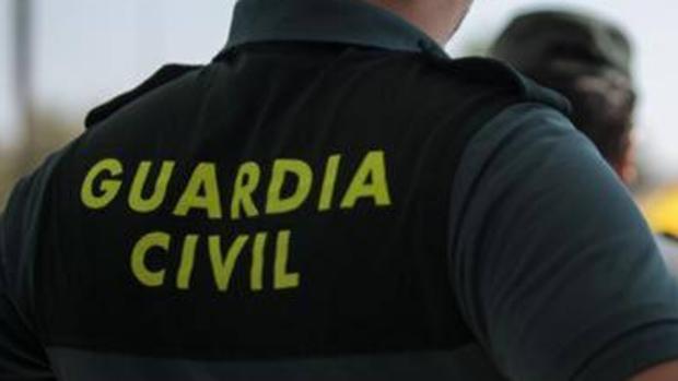 Padre e hijo detenidos por robar escopetas de caza en la provincia de Sevilla