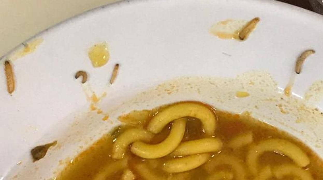Piden a Defensa que exija responsabilidades por los gusanos en la comida de Camposoto