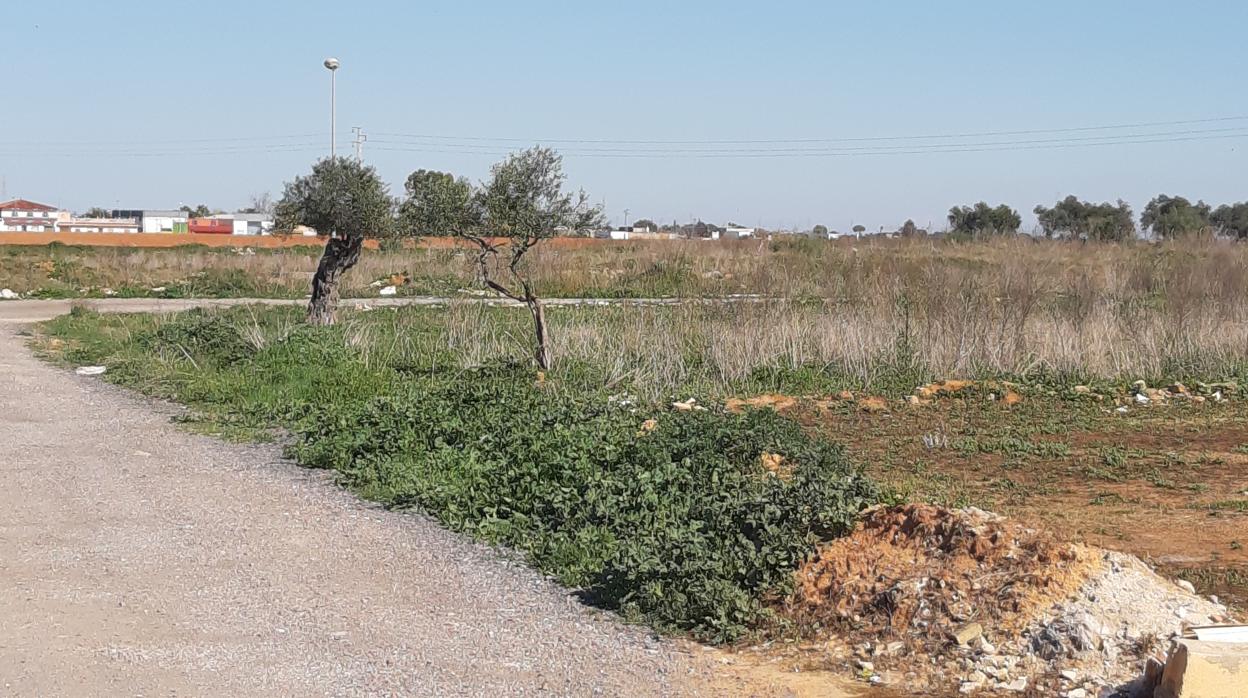 La zona donde apareció el cuerpo sin vida de Cayetano el pasado viernes