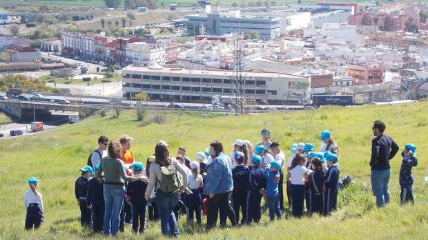 Los más pequeños de Sevilla se suman a la conservación medioambiental del Carambolo