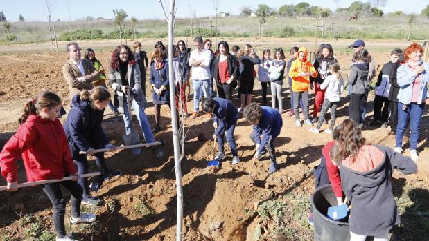 Los estudiantes de Mairena del Aljarafe siembran los primeros árboles del bosque del Parque Central