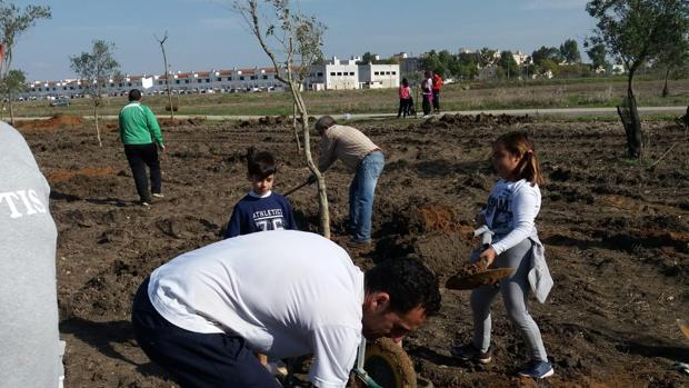 Nuevos árboles en Utrera para concienciar a los más pequeños del cambio climático