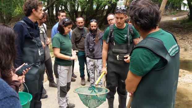 Alertan sobre la desaparición en Utrera de las aves rapaces autóctonas nocturnas