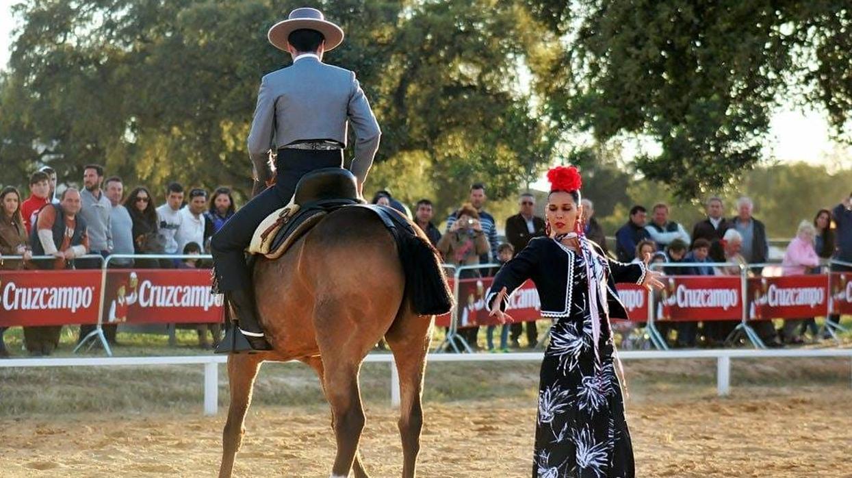 La XXIII FTTAG se celebra este fin de semana en la Dehesa Boyal