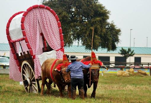 Tradición, artesanía y gastronomía de Doñana y el Aljarafe se dan la mano en Villamanrique