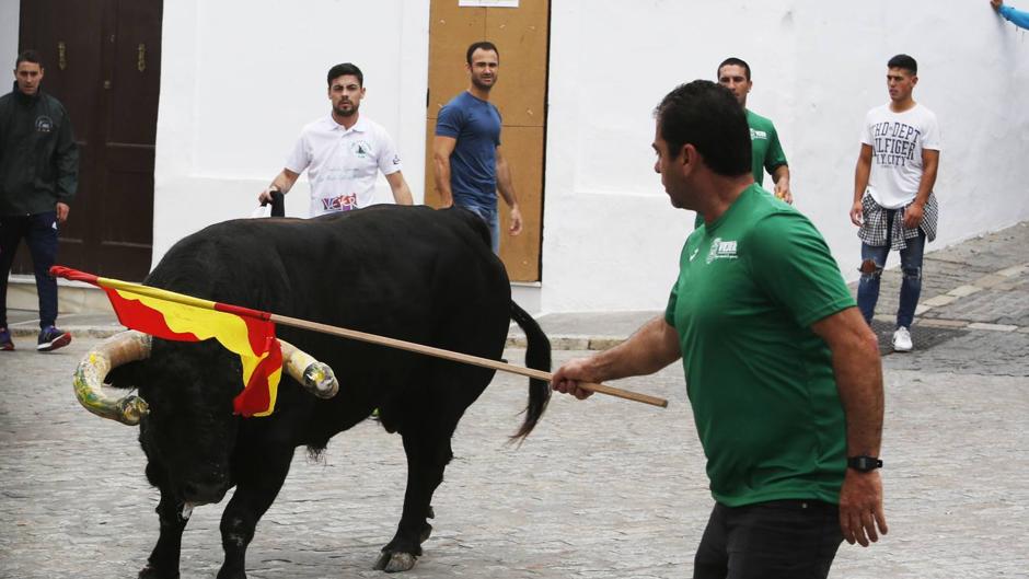 Vídeo: Así ha sido el 'Toro Embolao' de Vejer 2019