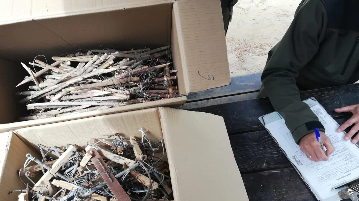 Retirados 760 artilugios usados para caza furtiva en el Parque de los Toruños
