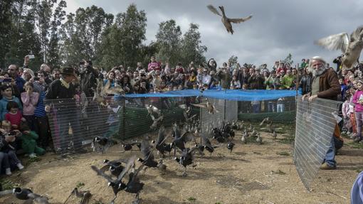 Patos en La Cañada de los Pájaros