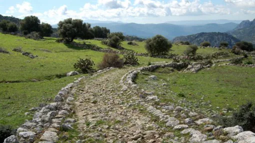 La calzada romana del Parque Natural de Grazalema