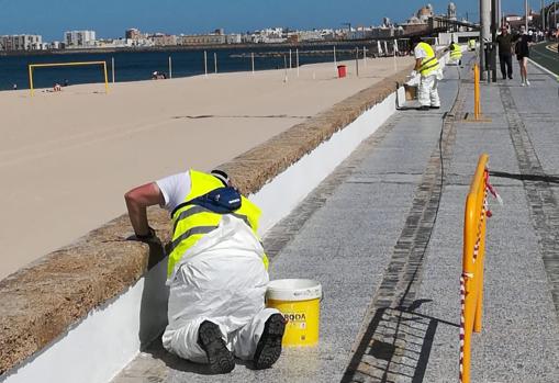 Arrancan trabajos de limpieza y pintura del Paseo Marítimo de Cádiz para la temporada de playas