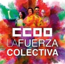 CCOO de Cádiz gana las elecciones sindicales en el Consorcio de la Zona Franca de Cádiz