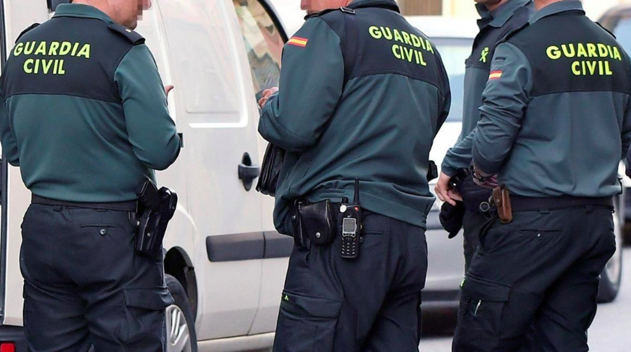 La Guardia Civil ha llevado a cabo esta operación.