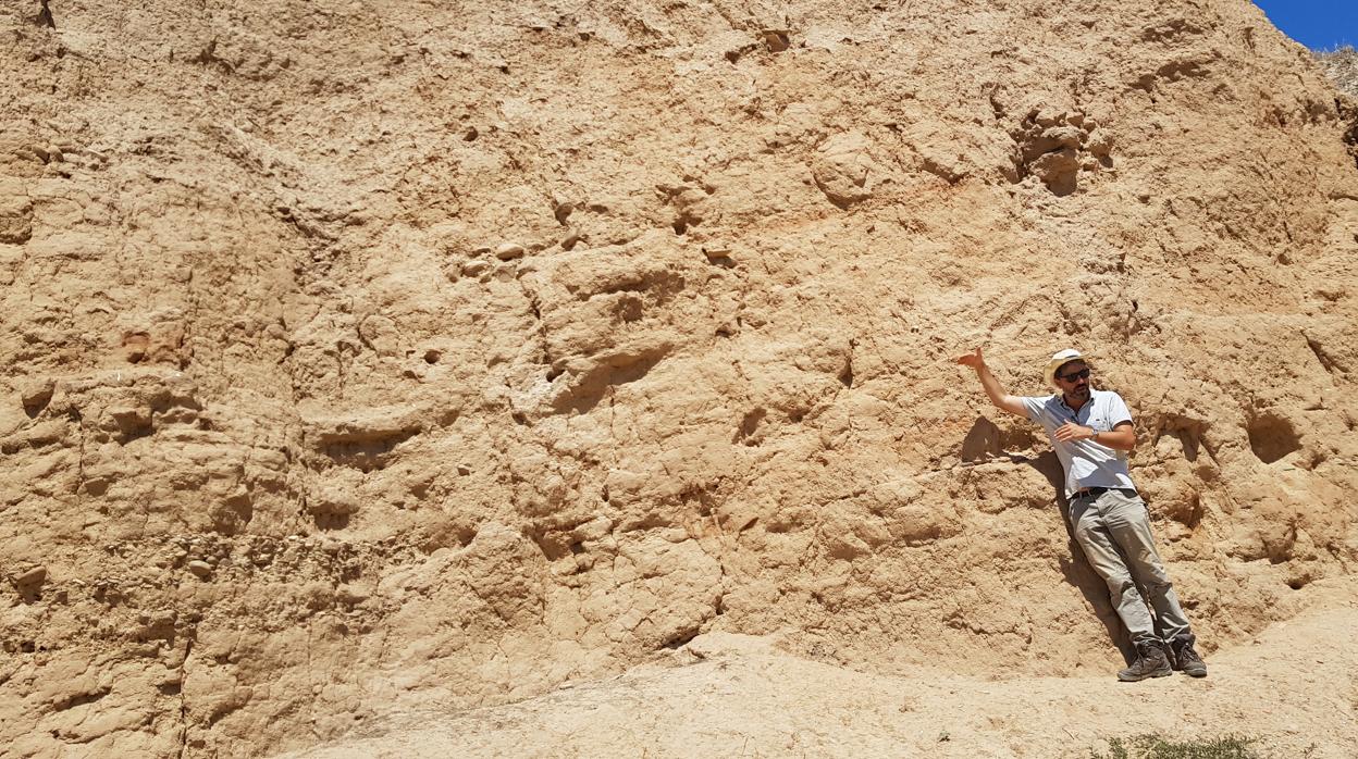 Pared del Cerro Macareno donde se encuentran restos de tartésicos y turdetanos