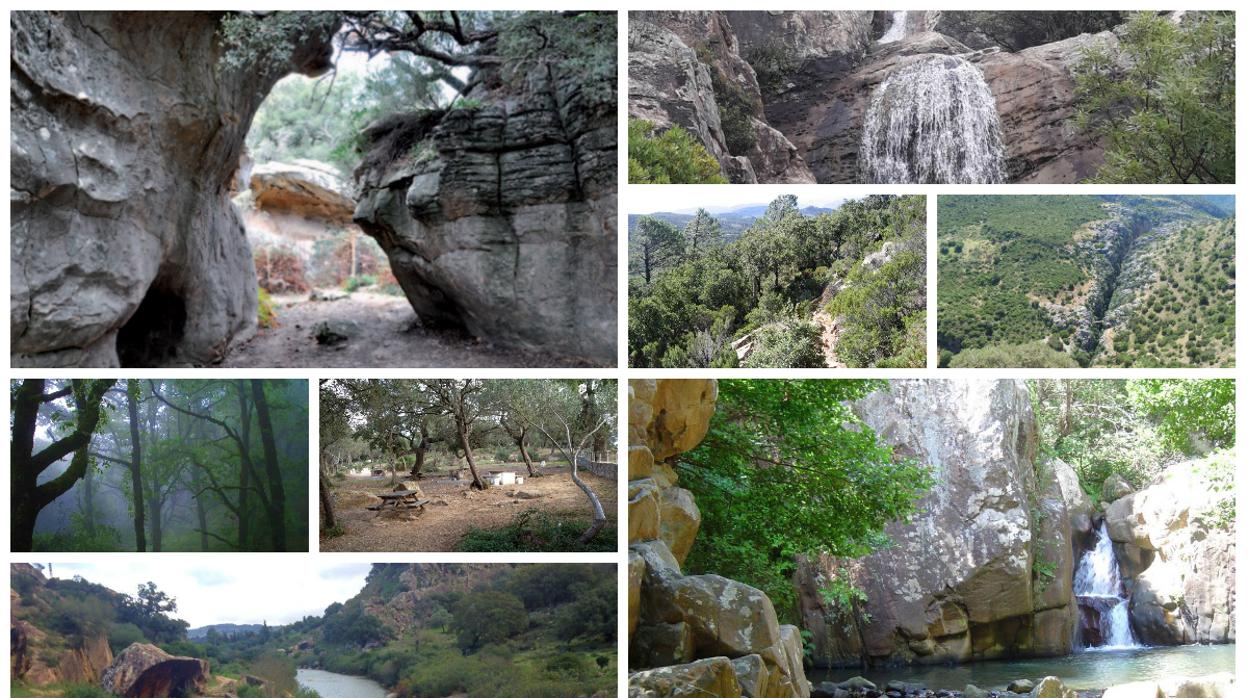 Rincones del Parque de los Alcornocales para no perderse