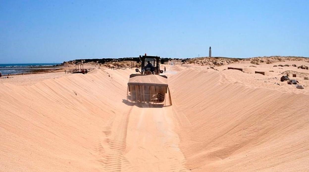 El Ayuntamiento de Barbate reitera la petición de retirar la arena del acceso a las playas de Trafalgar