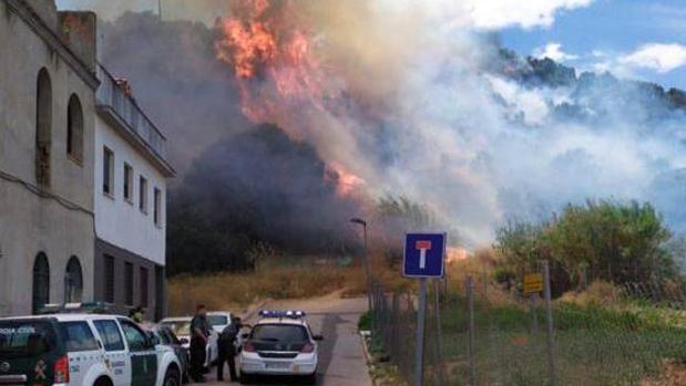 Convocan en Gelves una limpieza ciudadana en un pinar colindante a la zona devastada por el incendio