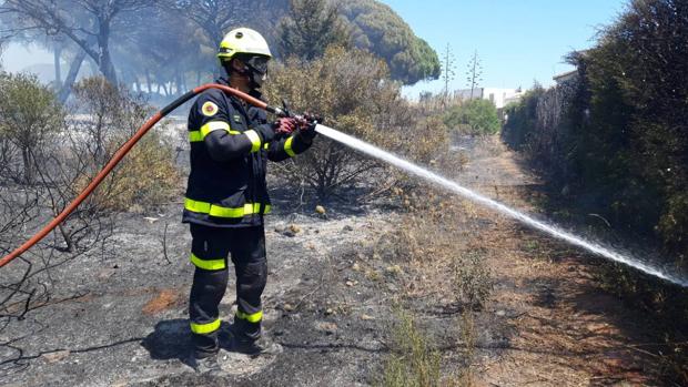 Controlado el incendio en el pinar de Roche