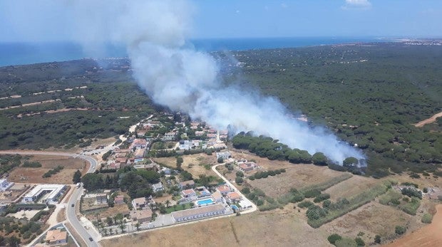 Un grave incendio en el pinar de Roche mantiene en alerta a toda la zona