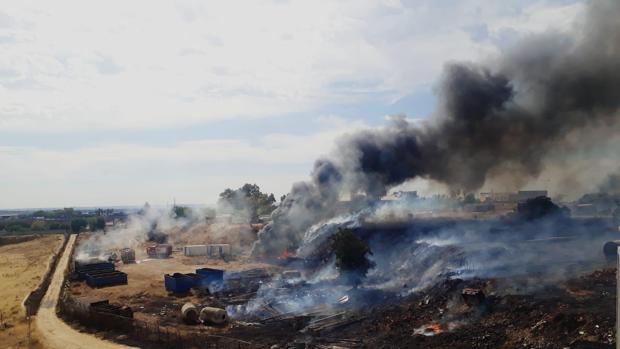 Incendio de grandes dimensiones en una zona de pastos próxima a las viviendas en Alcalá de Guadaíra