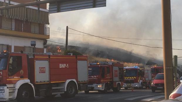 El Cerro del Carambolo de Camas se incendia siete días después