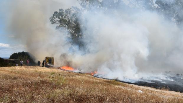 Un incendio asola una zona de pasto cerca del Polideportivo Municipal de Barbate