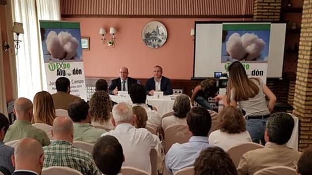 Los Palacios y Villafranca acogerá el 17 de septiembre la VI edición de Expoalgodón