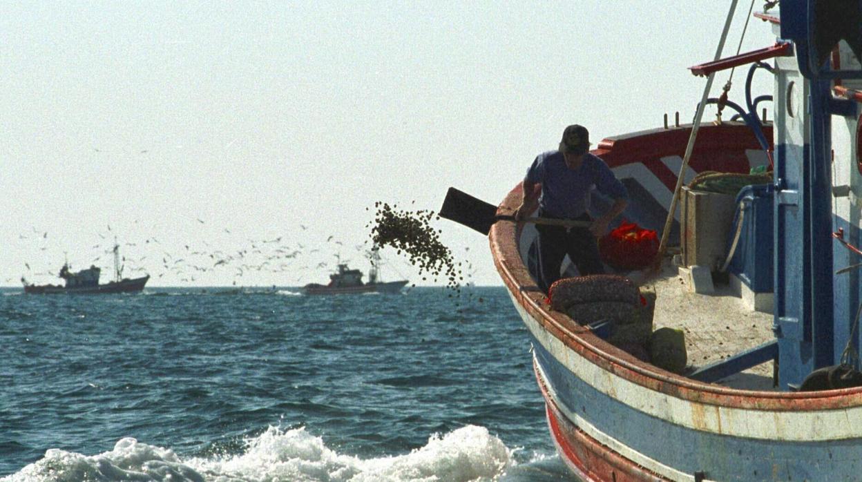 La pesquería de la chirla en el Golfo de Cádiz.