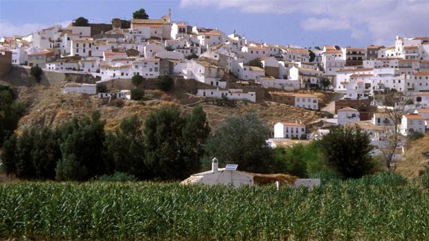 El concejal del PP detenido en la Sierra de Cádiz entrega su acta