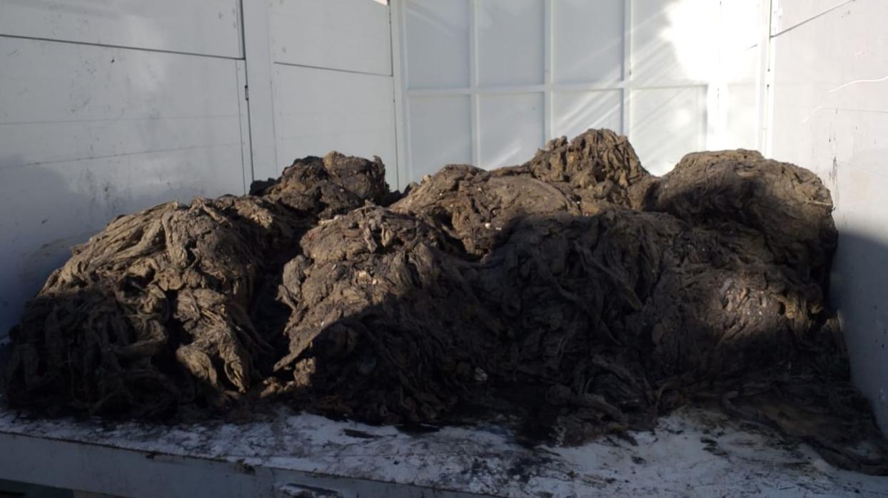 Algunos kilos de las toallitas que producen atascos en la red de saneamiento gaditana.