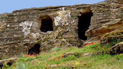 Necrópolis de Los Algarbes