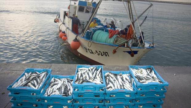 La flota gaditana podrá volver a pescar en aguas de Marruecos un año después