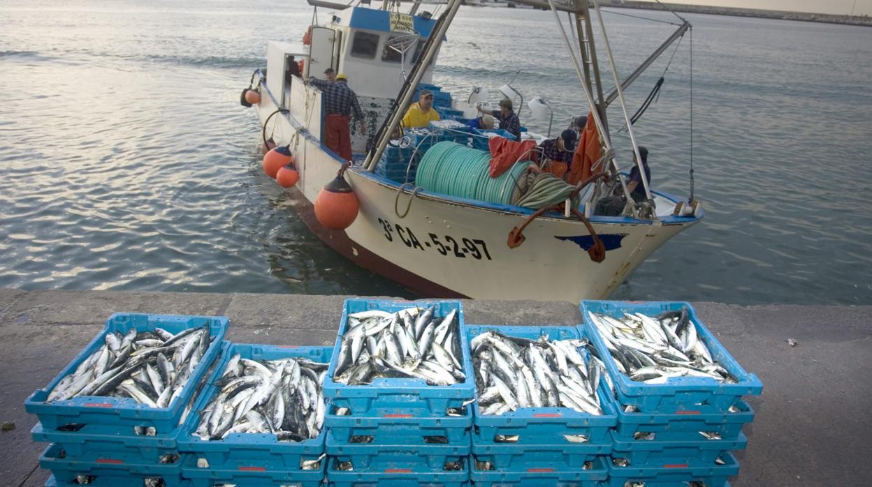 Pescadores de Barbate