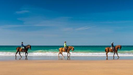 Caballos en las playas de Conil.