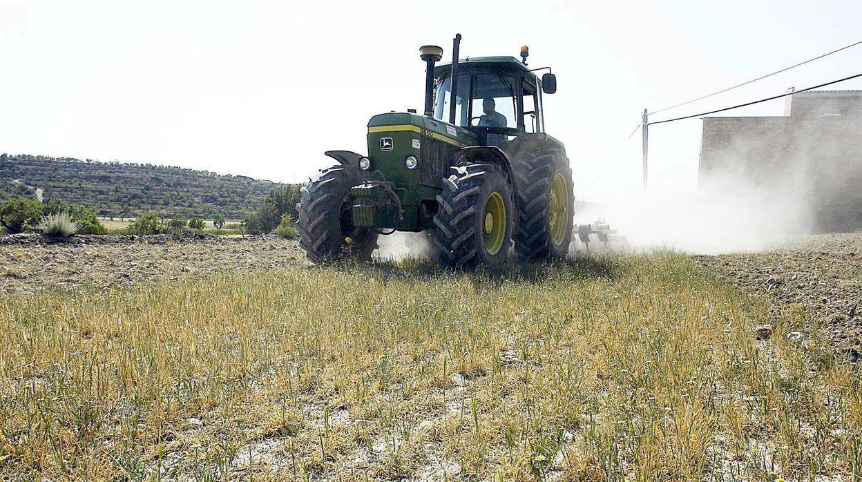 El PP de Cádiz presume de la apuesta de la Junta por agricultores y ganaderos