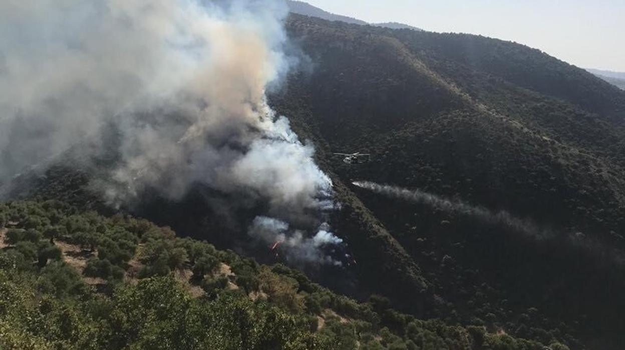 Controlado el incendio forestal declarado en Zahara de la Sierra