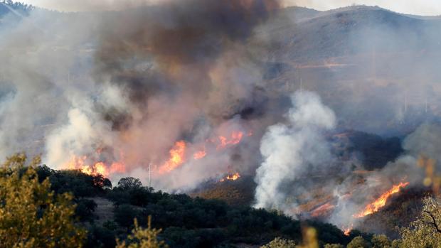 Extinguido el incendio de El Madroño tras arrasar 245 hectáreas