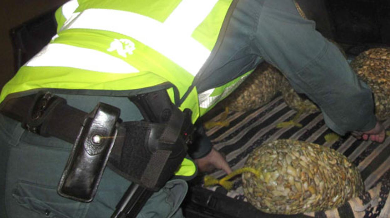 Un agente de la Guardia Civil inspecciona el interior de un vehículo que transportaba coquinas contaminadas