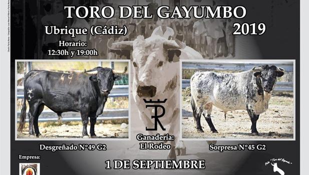 Pacma inicia la campaña contra el Toro del Gayumbo de Ubrique