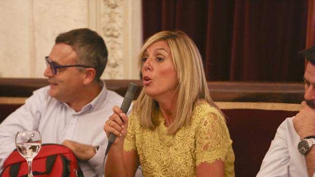 El PSOE reivindica una regulación integral de la movilidad ante los «parches» de Vila